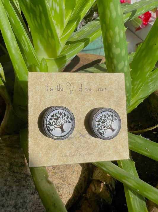 Celtic Winter Tree Studs