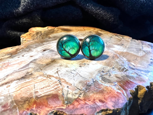 Northern Lights Post Earrings