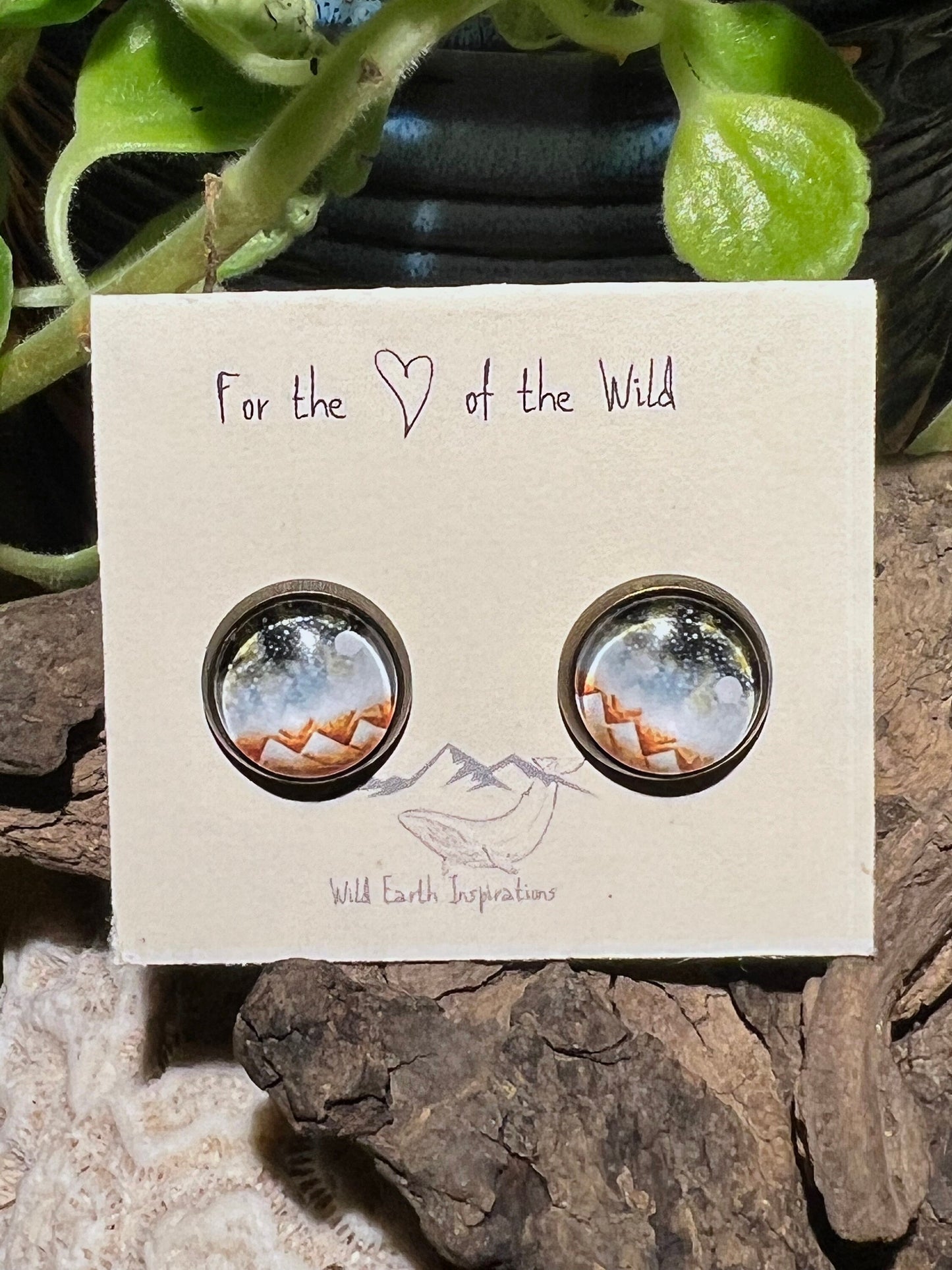 Starry Night Post Earrings