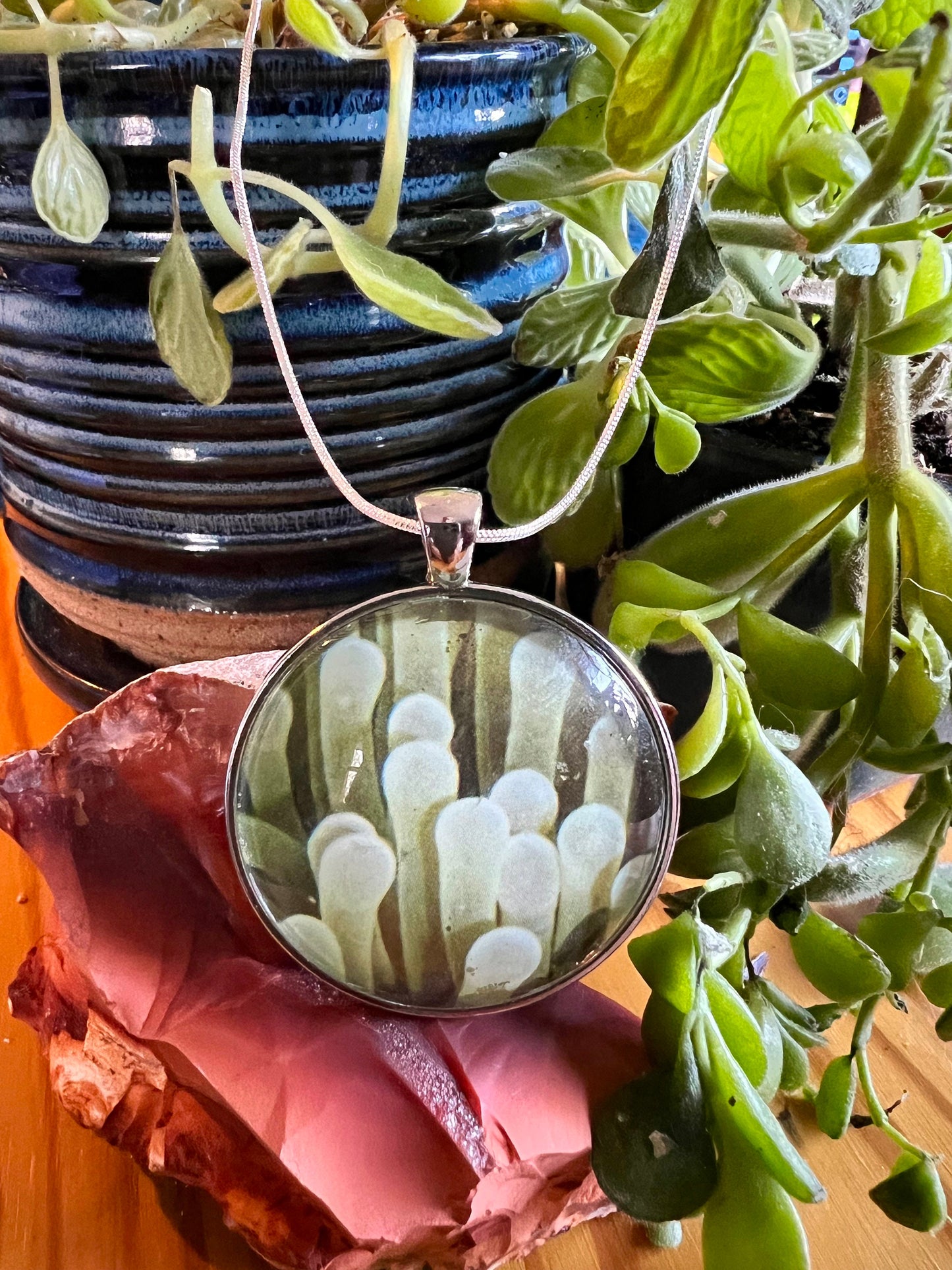 Sea Anemone Glass Pendant (with black corded necklace)