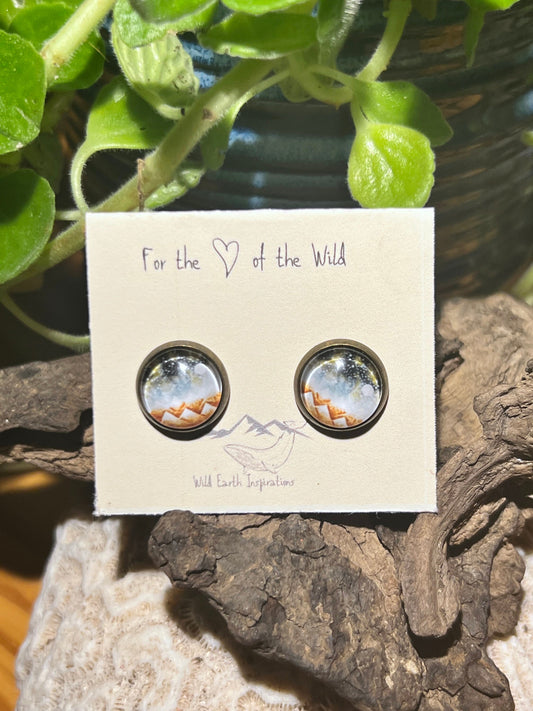 Starry Night Post Earrings