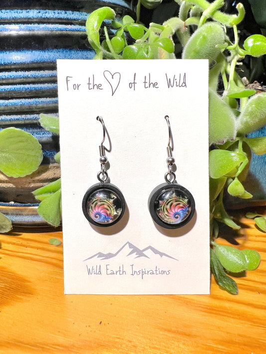 Galactic Nautilus Dangle Earrings