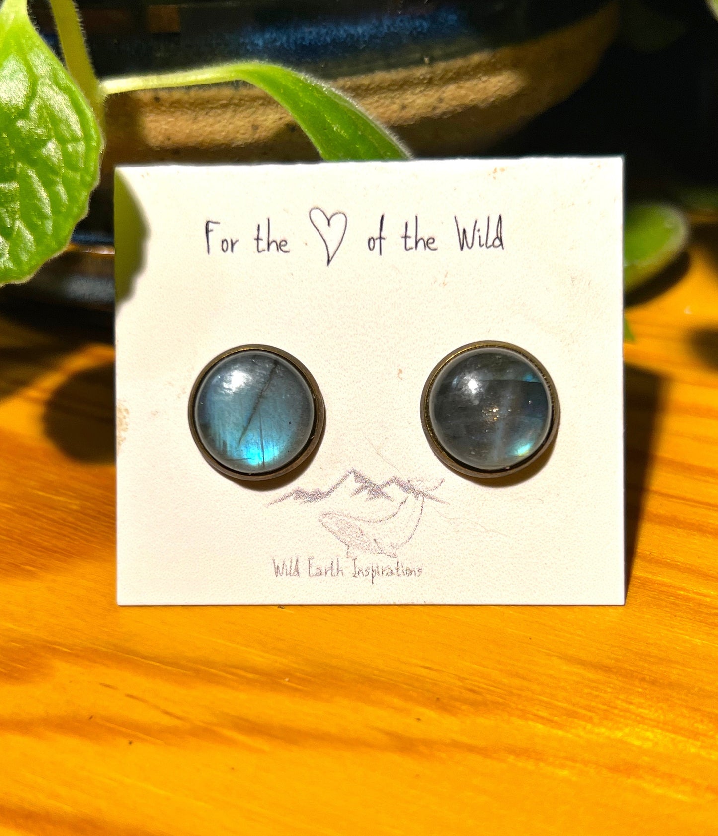 Labradorite Post Earrings
