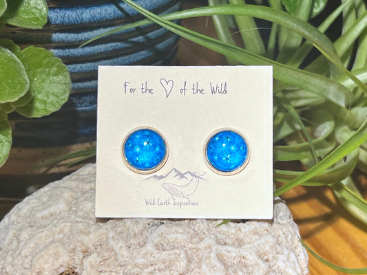Blue Brilliance Post Earrings