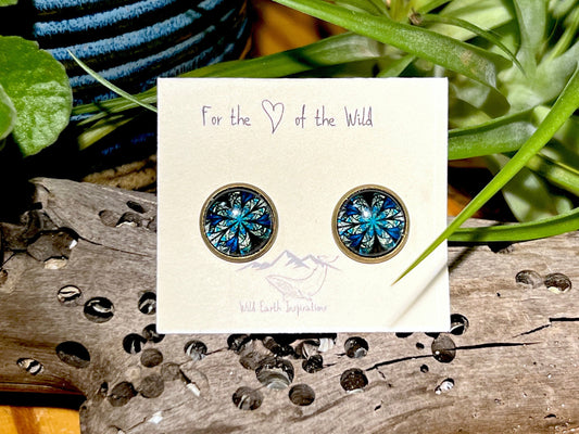 Jungle Sky Post Earrings