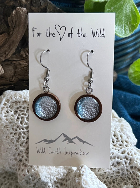 Whale Shark Walnut Earrings