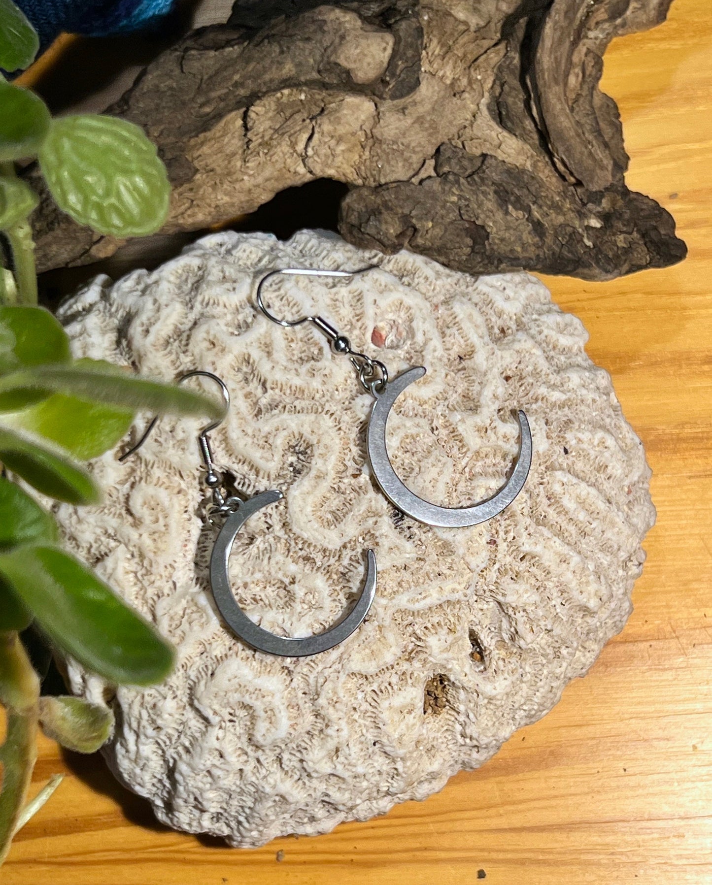 Crescent Moon Earrings