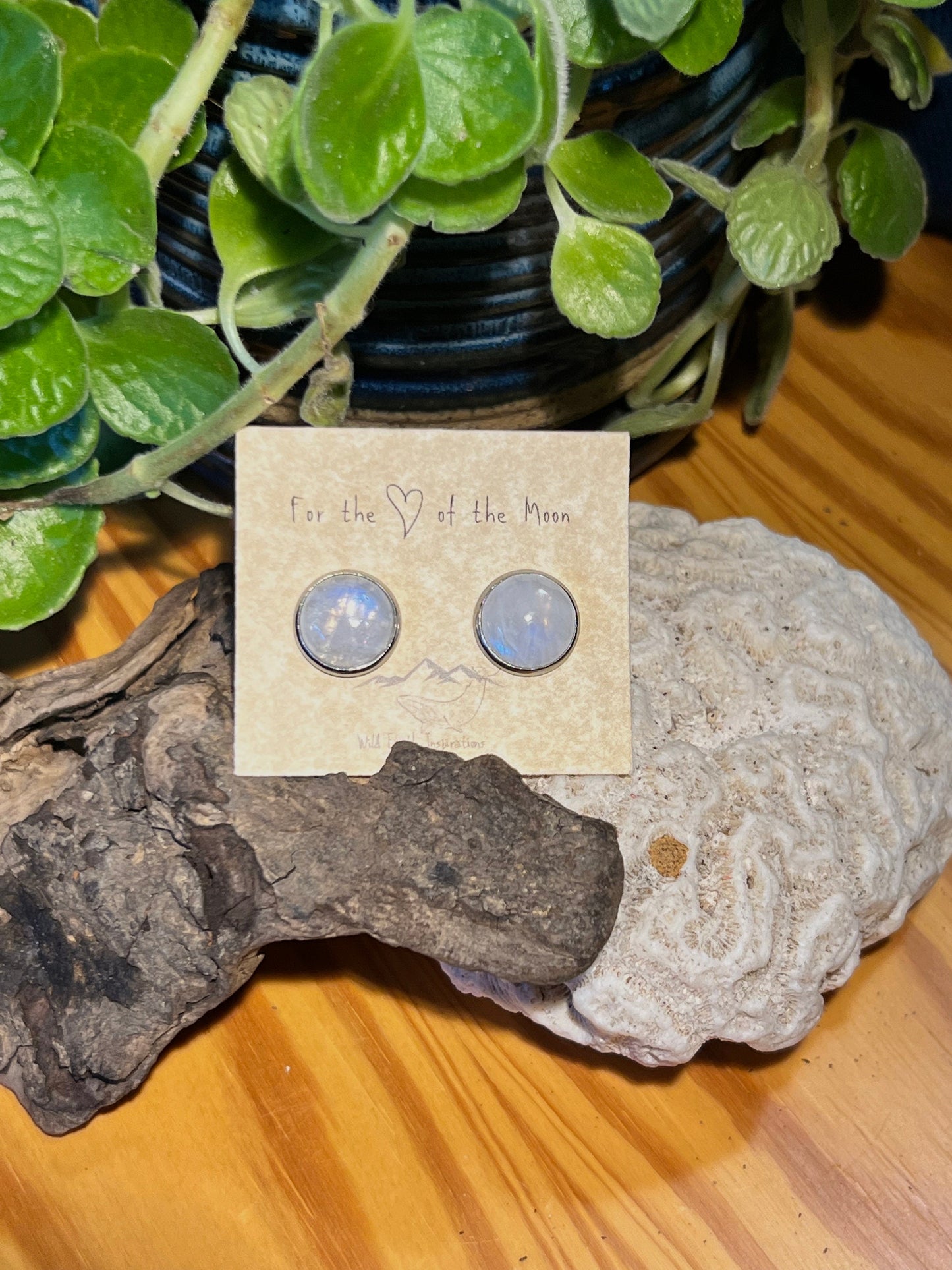 Moonstone Post Earrings