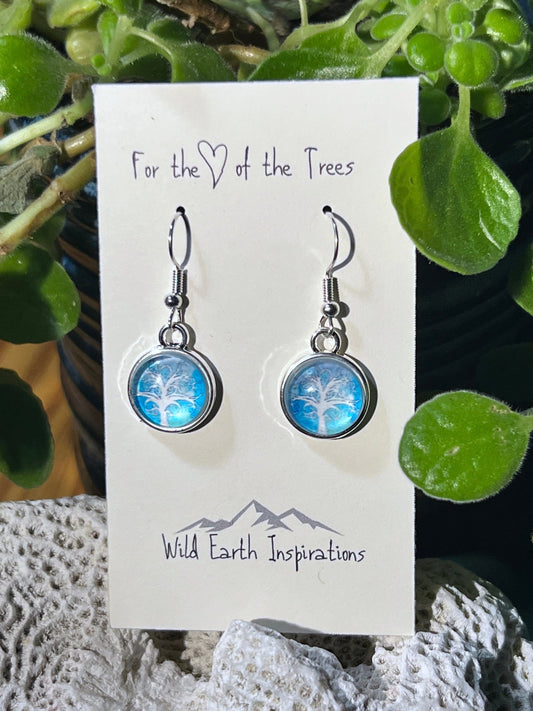 Snowy Night Earrings