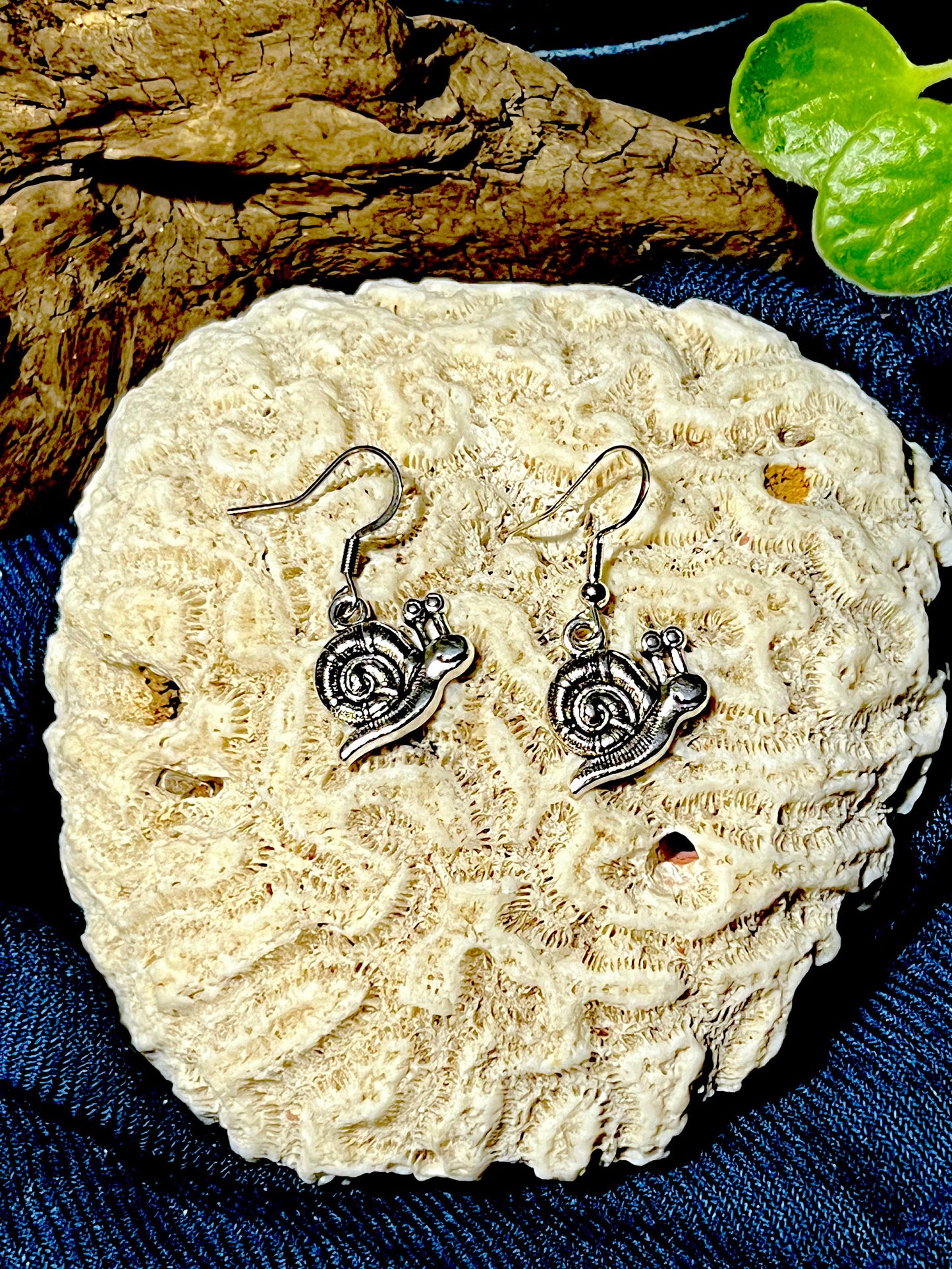 Silver Snail Earrings