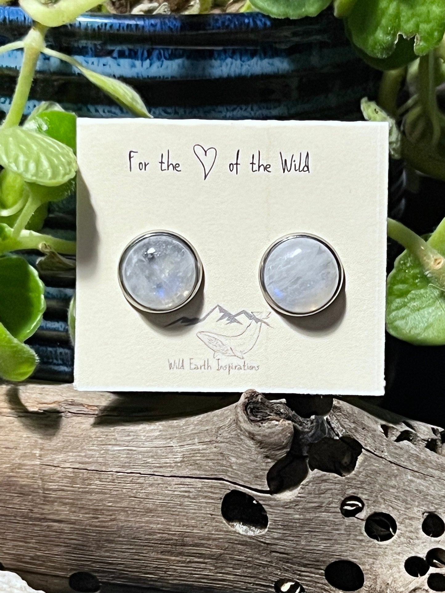 Rainbow Moonstone Post Earrings