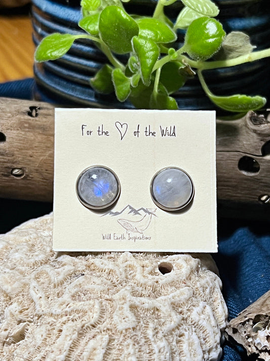 Rainbow Moonstone Post Earrings