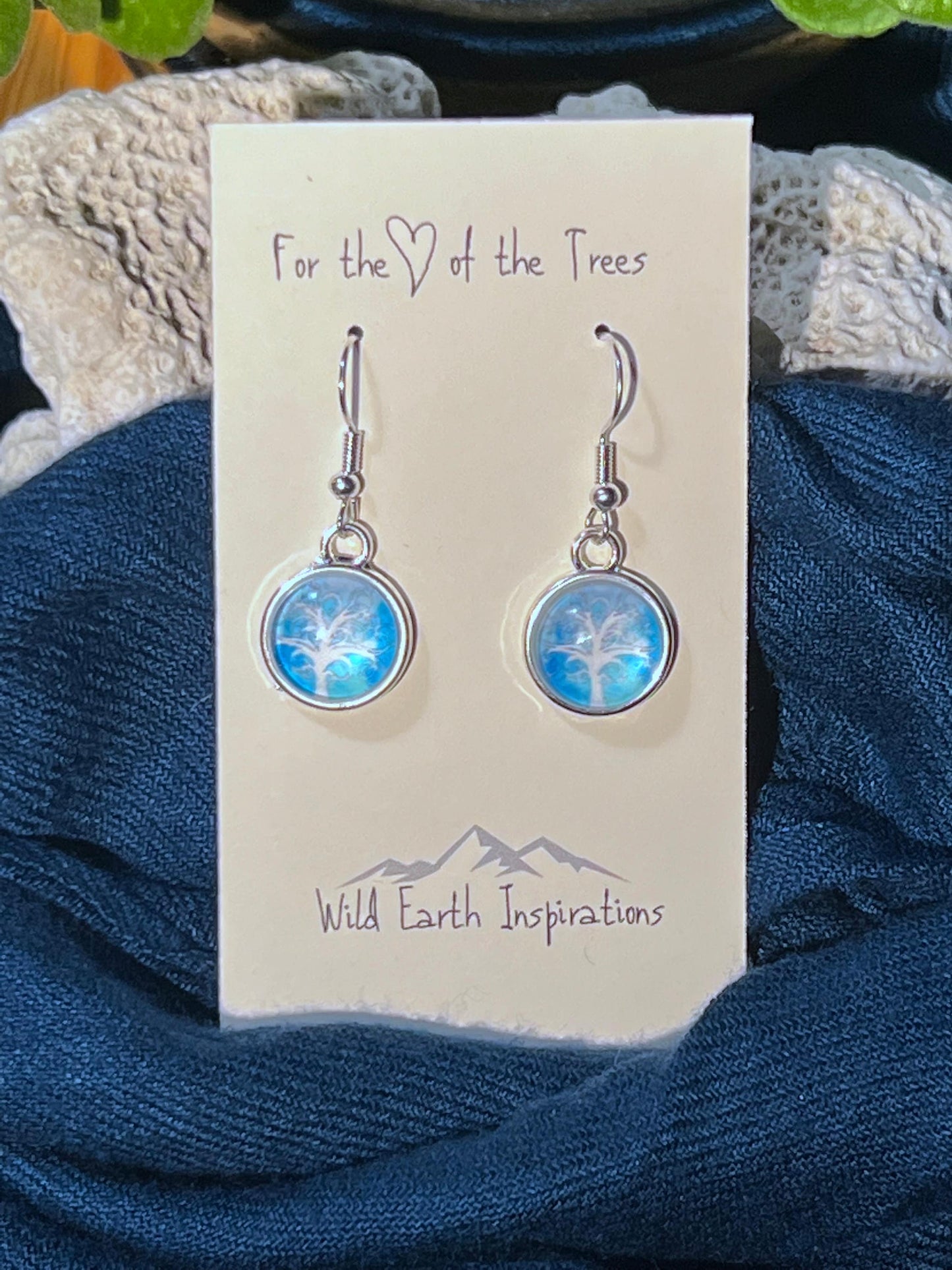 Snowy Night Earrings