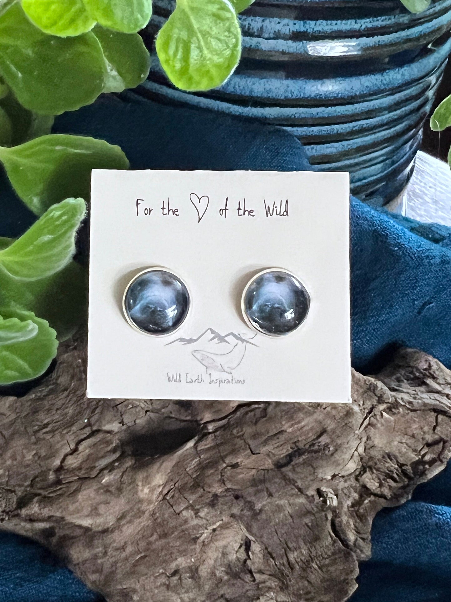 Manatee Post Earrings
